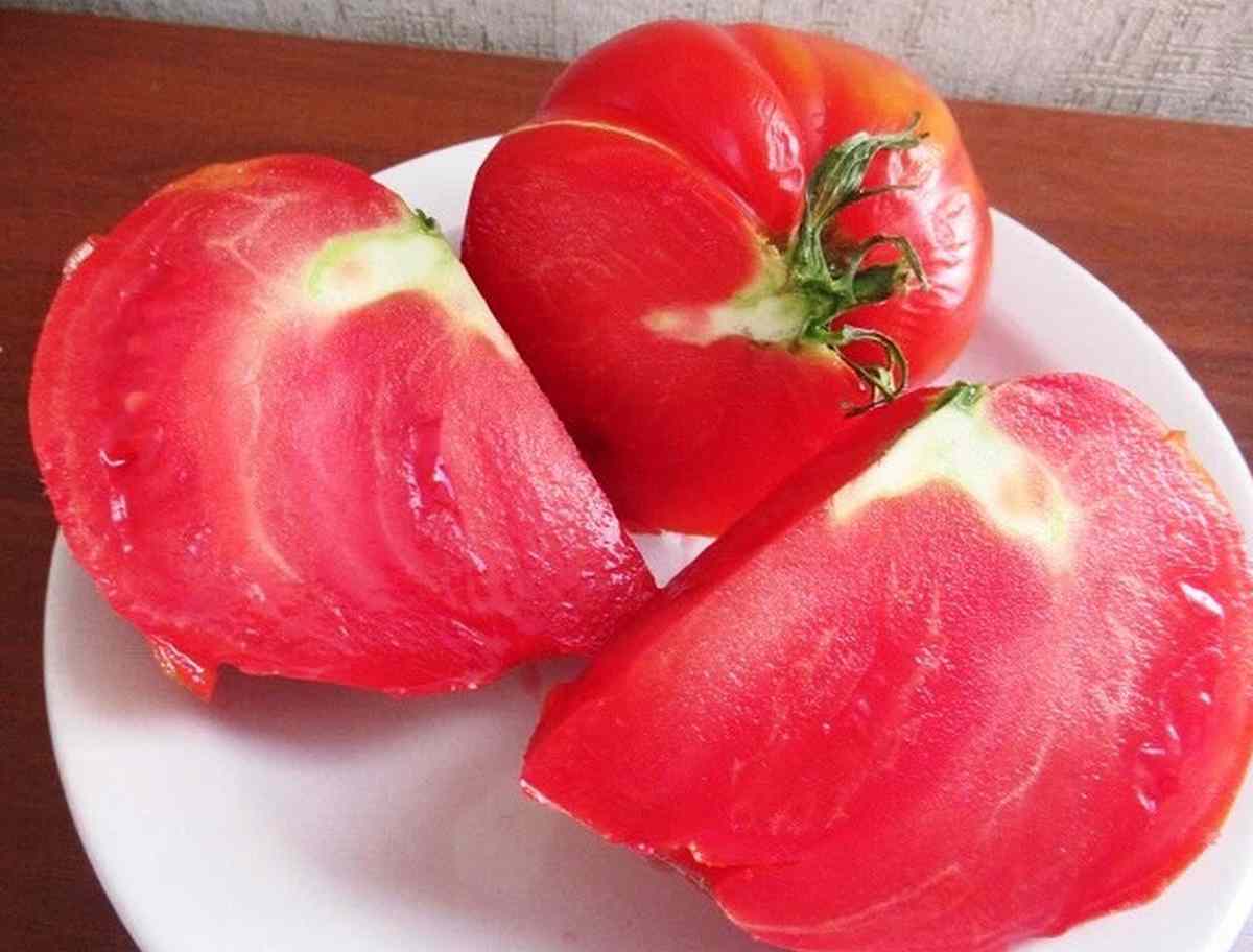 Pomidor Danko na talerzu